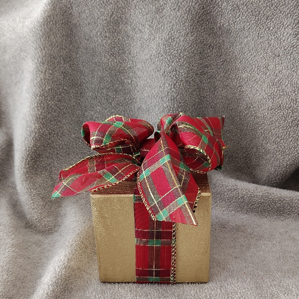 NWOT, Holiday Accent, Package